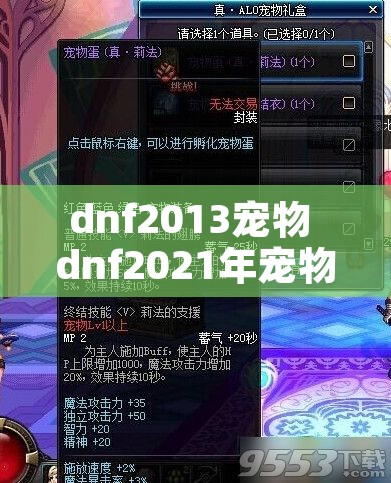 dnf2013宠物 dnf2021年宠物