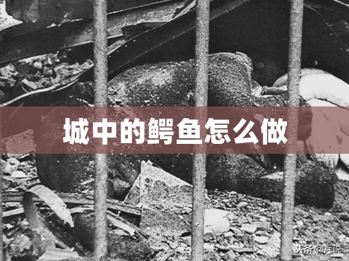 城中的鳄鱼怎么做