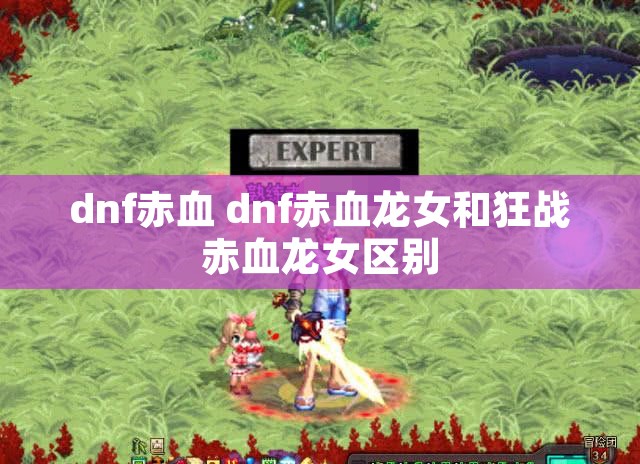 dnf赤血 dnf赤血龙女和狂战赤血龙女区别