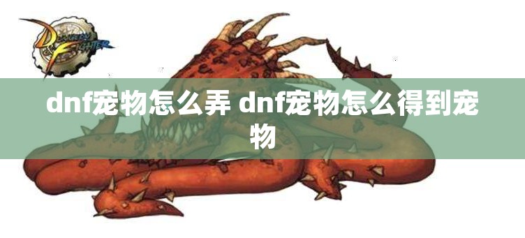 dnf宠物怎么弄 dnf宠物怎么得到宠物