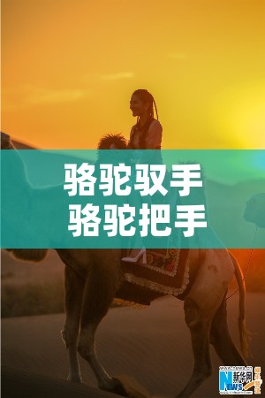 骆驼驭手 骆驼把手