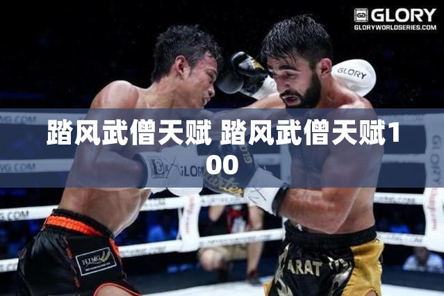 踏风武僧天赋 踏风武僧天赋100