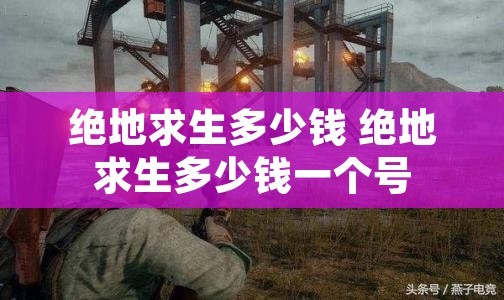 绝地求生多少钱 绝地求生多少钱一个号