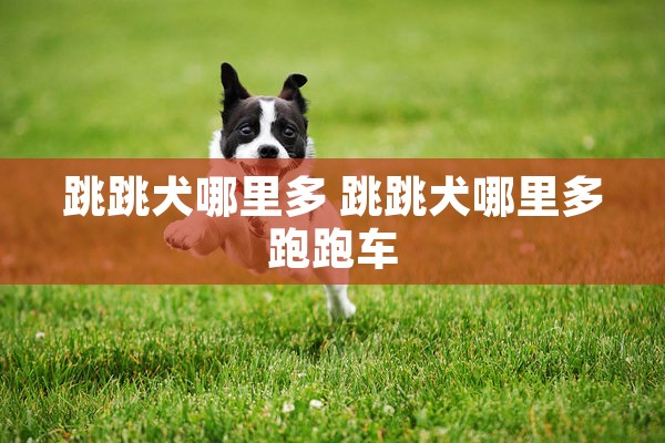 跳跳犬哪里多 跳跳犬哪里多跑跑车