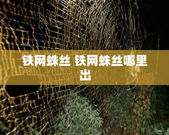 铁网蛛丝 铁网蛛丝哪里出