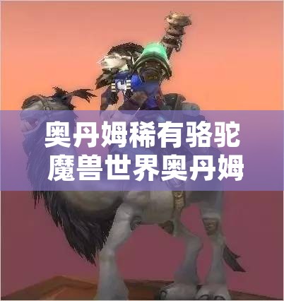 奥丹姆稀有骆驼 魔兽世界奥丹姆骆驼在哪买