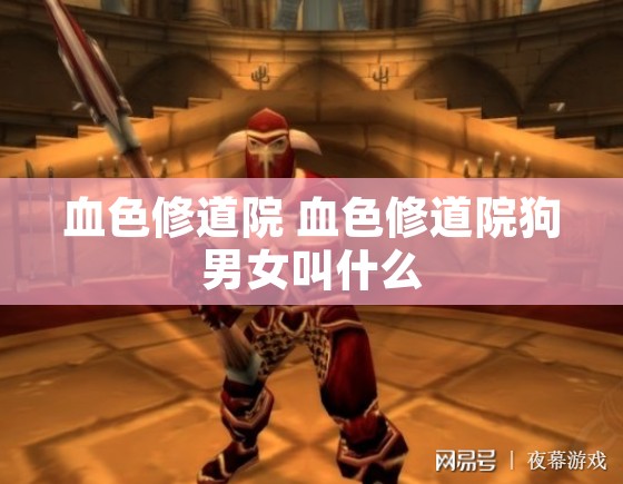 血色修道院 血色修道院狗男女叫什么