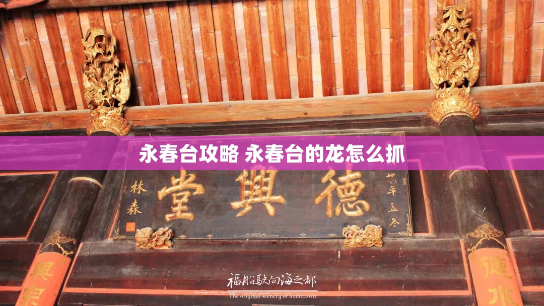 永春台攻略 永春台的龙怎么抓