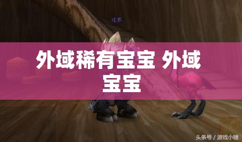 外域稀有宝宝 外域 宝宝