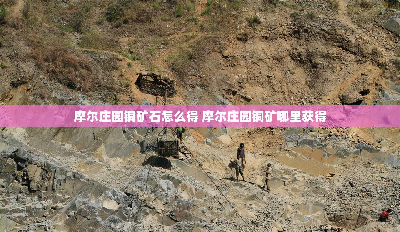 摩尔庄园铜矿石怎么得 摩尔庄园铜矿哪里获得