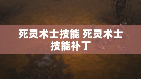 死灵术士技能 死灵术士技能补丁