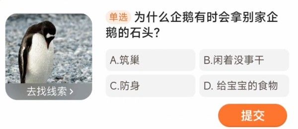 为什么企鹅有时会拿别家企鹅的石头