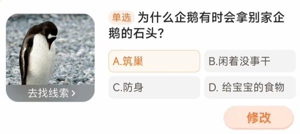 为什么企鹅有时会拿别家企鹅的石头