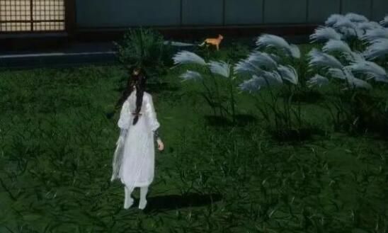 射雕手游无定坊猛兽献宝位置