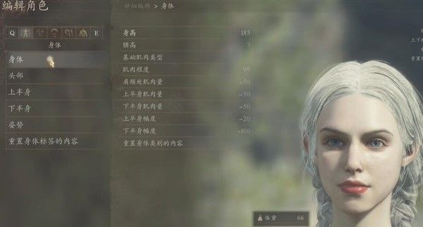 龙之信条2捏脸数据