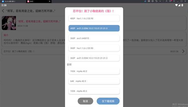 BVD截图