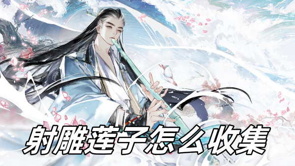 射雕手游莲子怎么收集