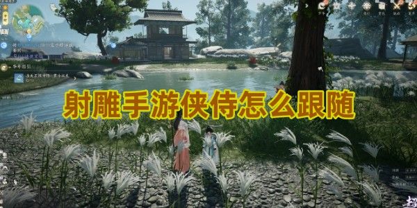 射雕手游侠侍怎么跟随