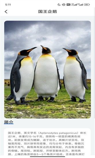企鹅妙看app下载