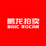 鹏龙拍卖手机版