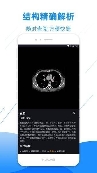 影像解剖图谱app破解版下载  