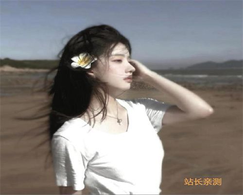 九州直播3303TV最新版