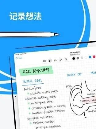 Nebo手写笔记下载  