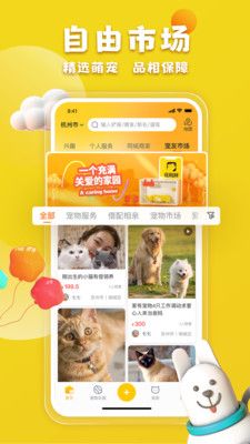 宠胖胖截图