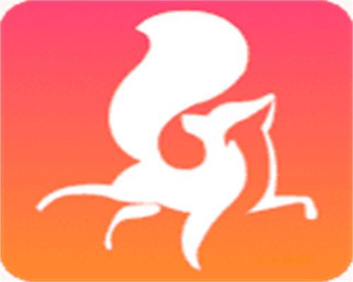 小狐狸直播安卓版