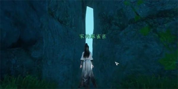 逆水寒手游水帘洞天任务完成攻略