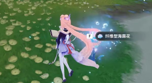 原神独舞者的序幕任务攻略