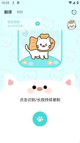 猫语翻译空间软件  