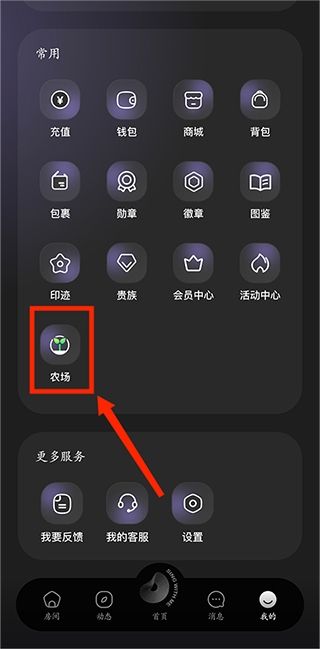 撕歌