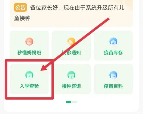 小豆苗