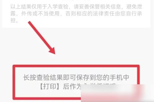 小豆苗