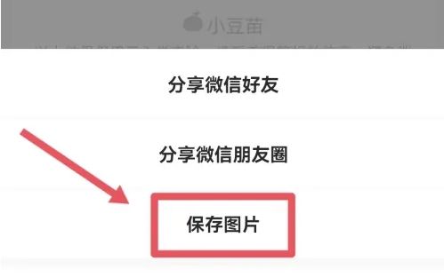 小豆苗