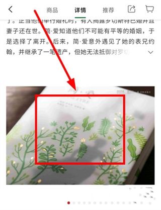 西西弗