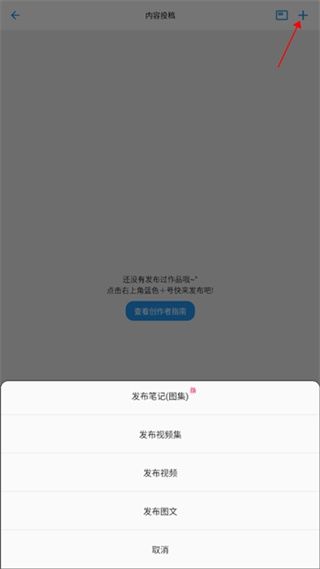 哒兔