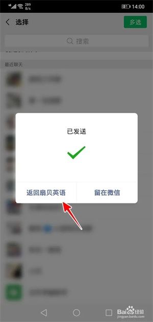 扇贝单词英语版