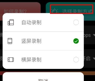 录屏大师