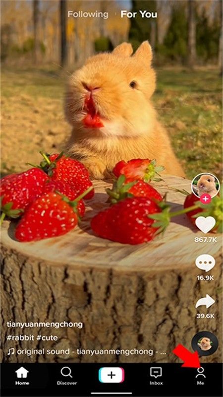tiktok极速版(TikTok Lite)app中文手机版