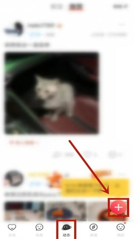 Nico多元人格交友app手机版