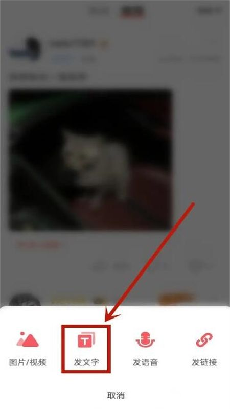Nico多元人格交友app手机版