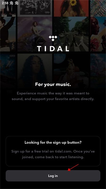 TIDAL音乐软件安卓最新版本