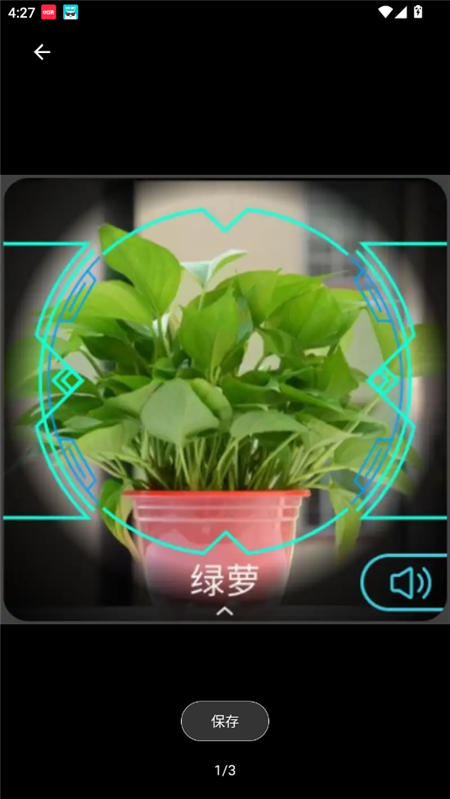 子腾识物app下载2024手表版