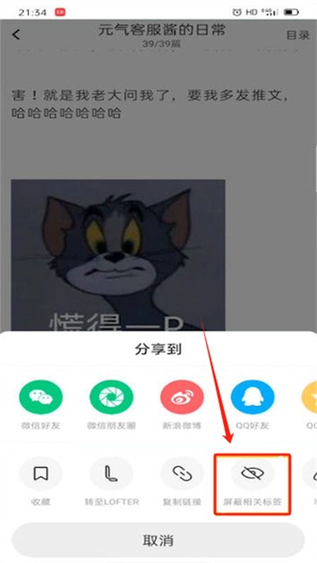 lofter小说软件