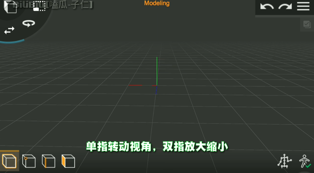 PriSma3D软件