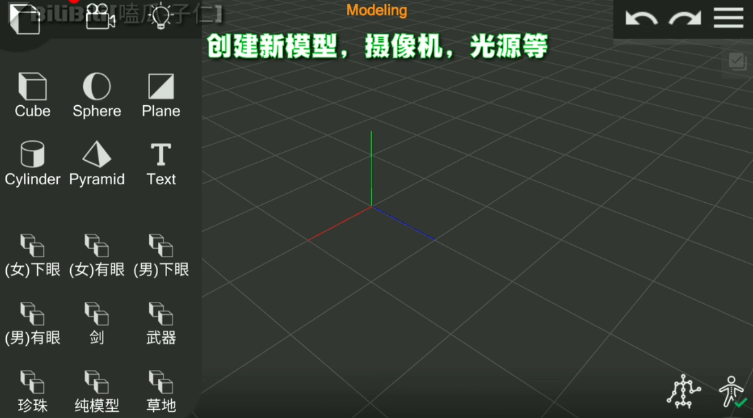 PriSma3D软件