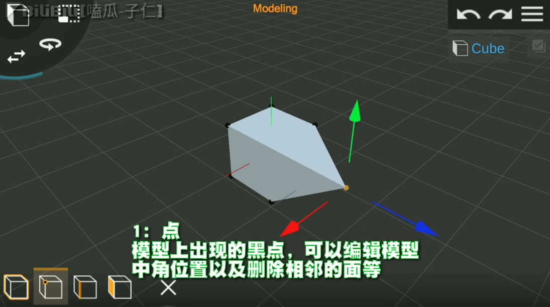 PriSma3D软件