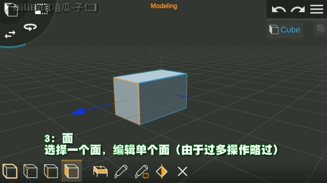 PriSma3D软件